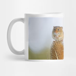 Harvest Mouse on Teasel Mug